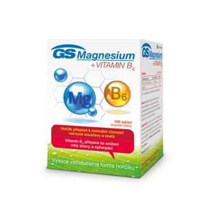 GS Magnesium + vitamin B6 (100tbl-kra)